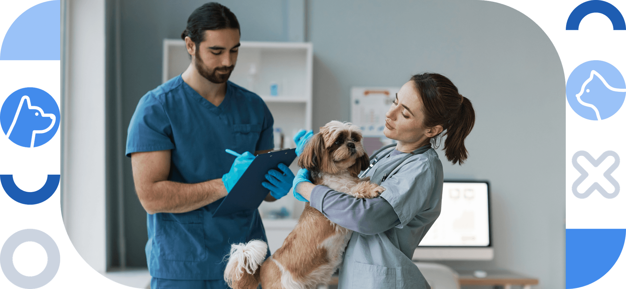Veterinarians working together
